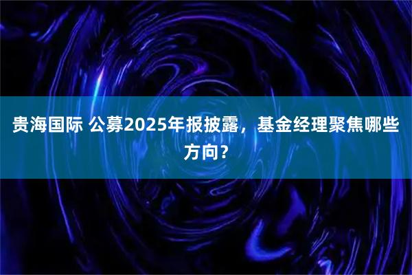 贵海国际 公募2025年报披露,基金经理聚焦哪些方向?